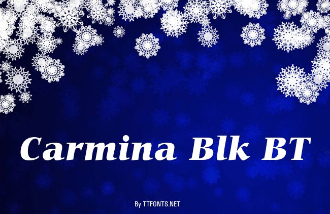 Carmina Blk BT example